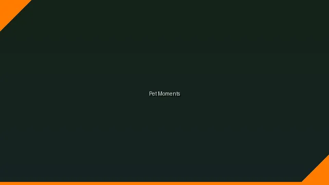 萌宠时刻主题赛 - emui8.0 UGC视频竞赛